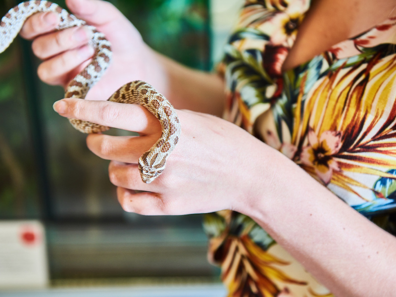 student with snake