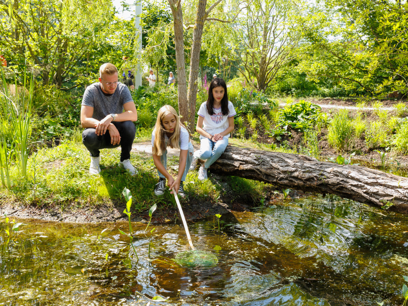 Students researching water
