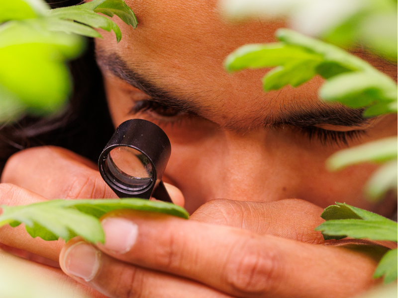 Student researching a plant with a magnifying glass