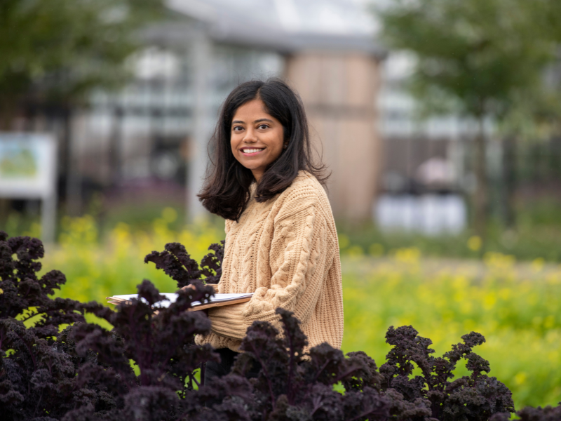Fulltime Master programme Food systems innovation Aeres University of Applied Sciences Almere