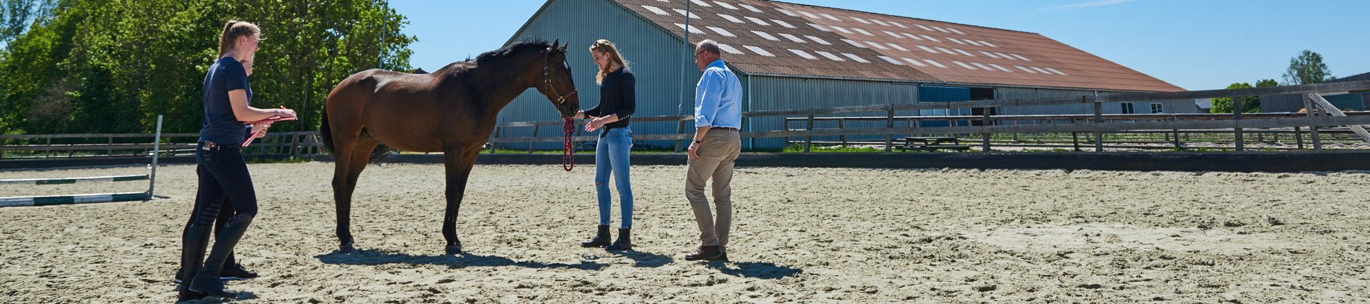 Students and horse at horse stables paardenplaats aeres univerisity of applied sciences