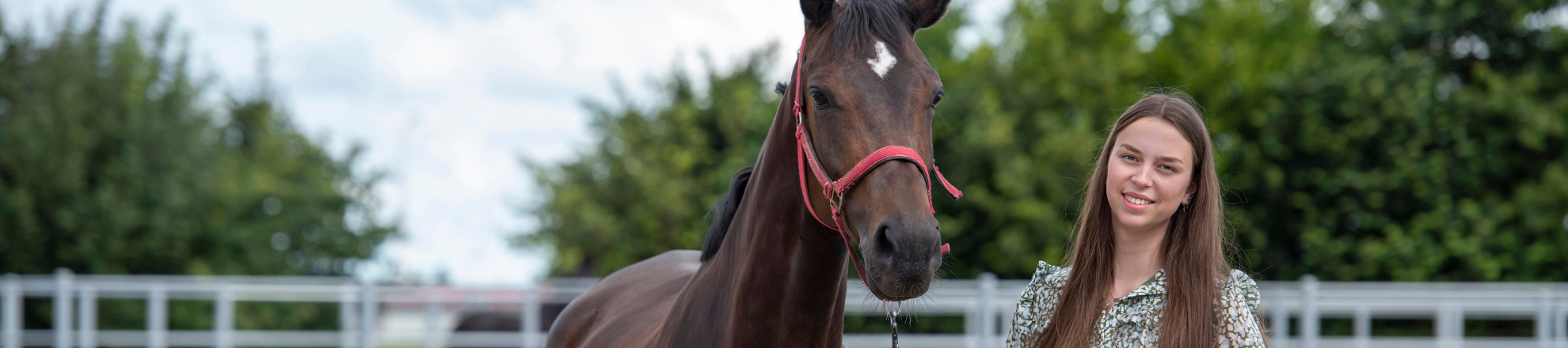 Full time bachelor programme international equine business management Aeres university of applied sciences