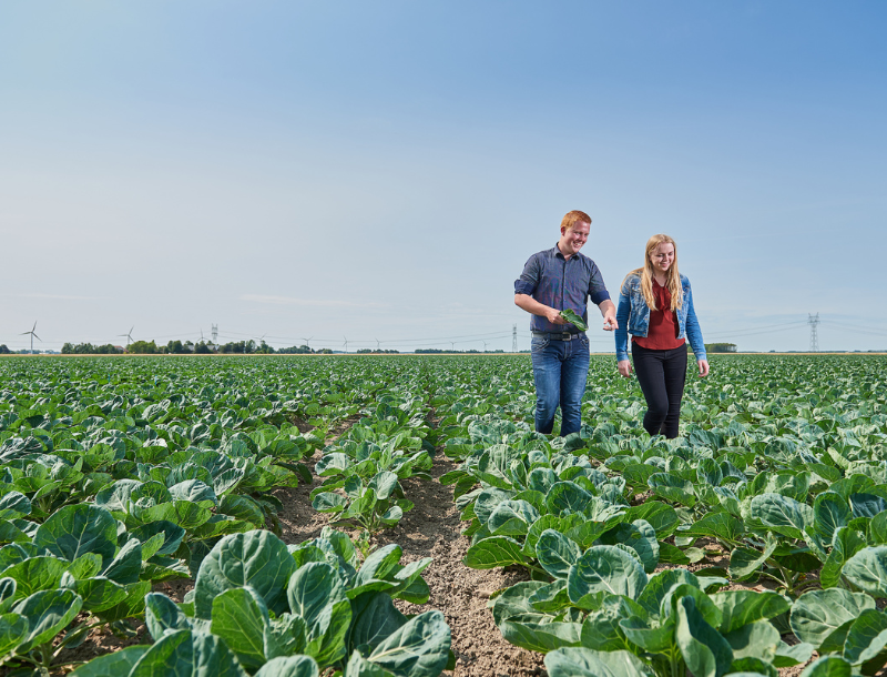 International Horticulture & Management 