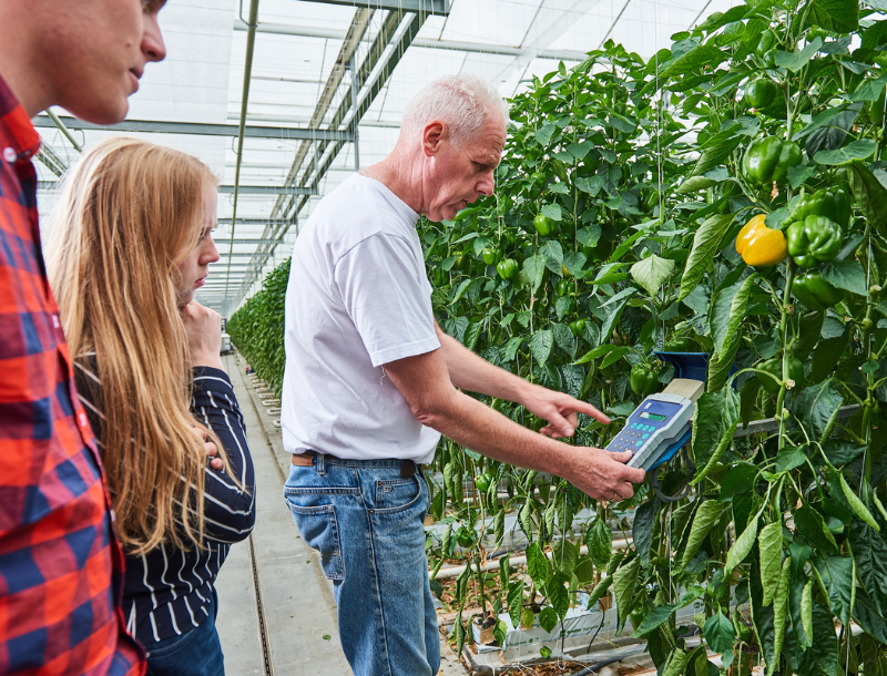 Exchange programme Smart Agri-Food Value Chains