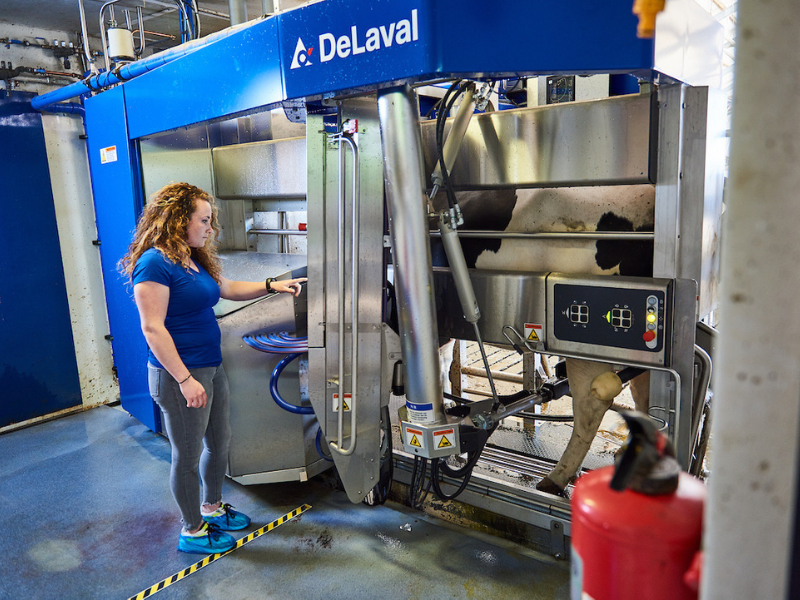 student from Aeres University of Applied Sciences with DeLaval milking robot at dairy farm at Aeres Farms