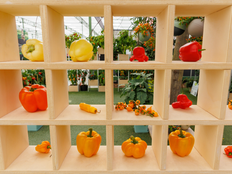 International Food Business Aeres University of Applied Sciences