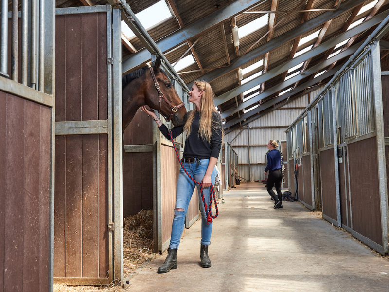 horse stables paardenplaats from Aeres University of Applied Sciences at Aeres Farms