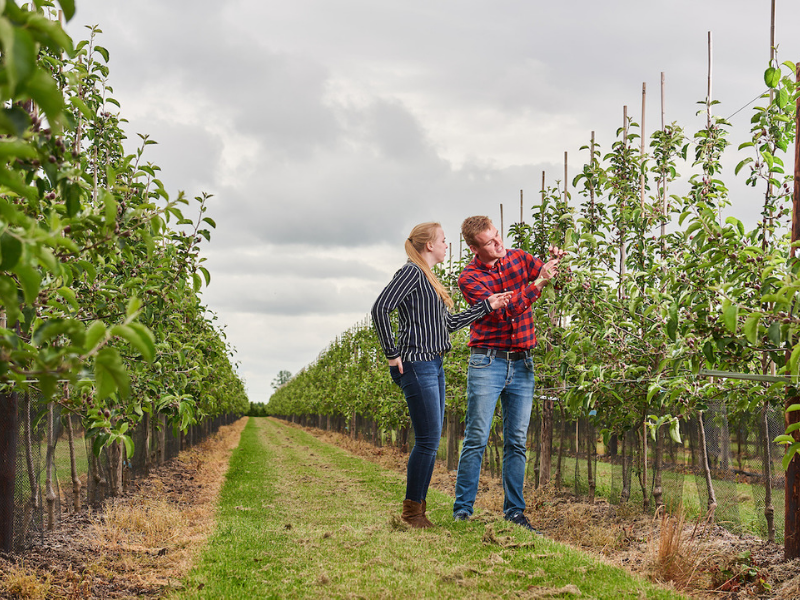 Horticulture students from Aeres University of Applied Sciences in field