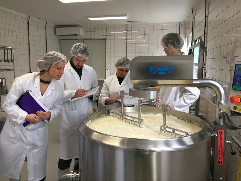 Dairy processing