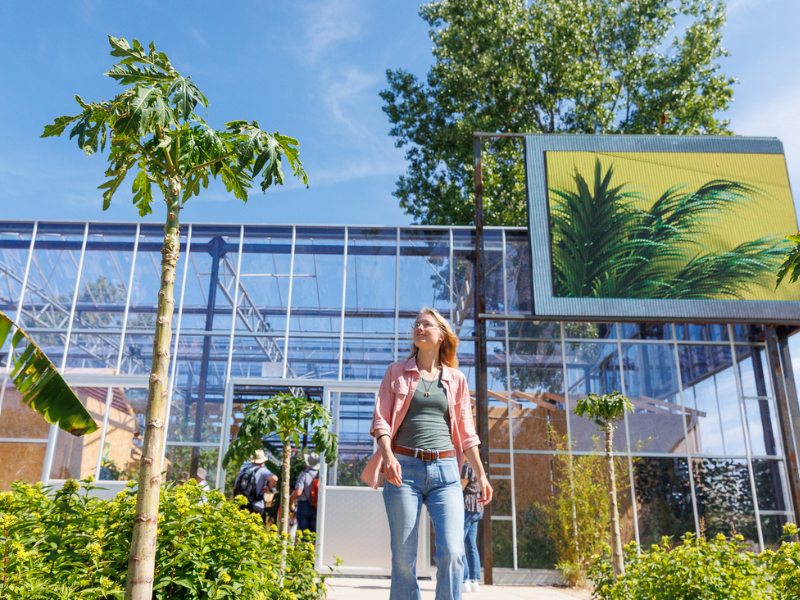 Climate Smart Agriculture