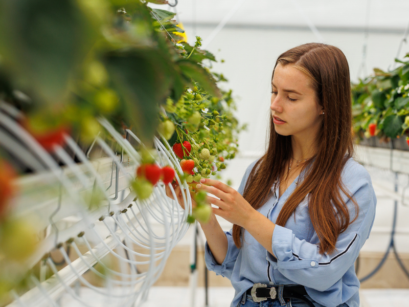 Food Safety Management