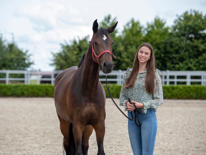 International Equine Business Management Bachelor programme