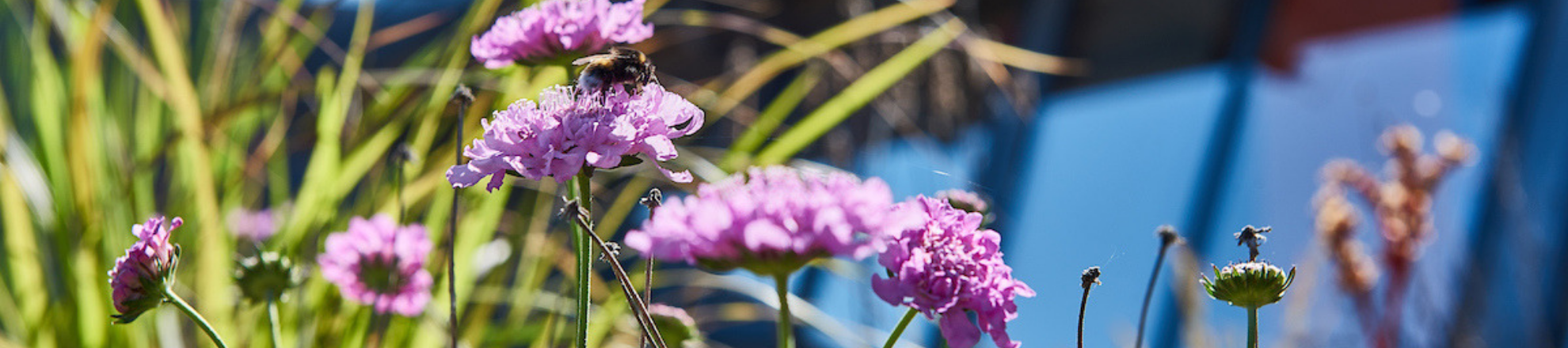 Mission and values Aeres University of Applied Sciences