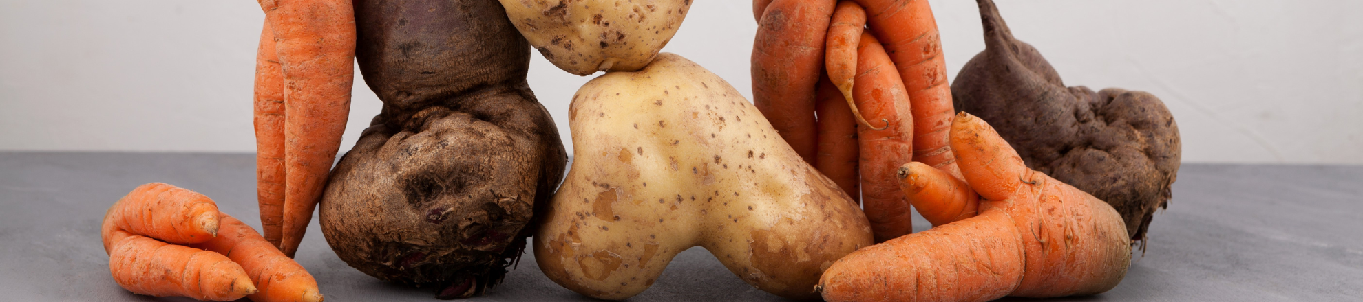 Circular Entrepreneurship in Agrifood 