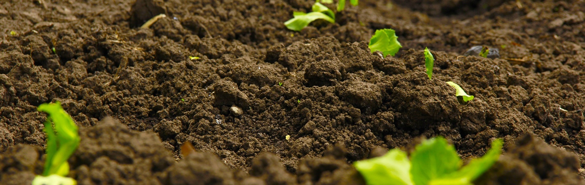 Duurzaam bodembeheer