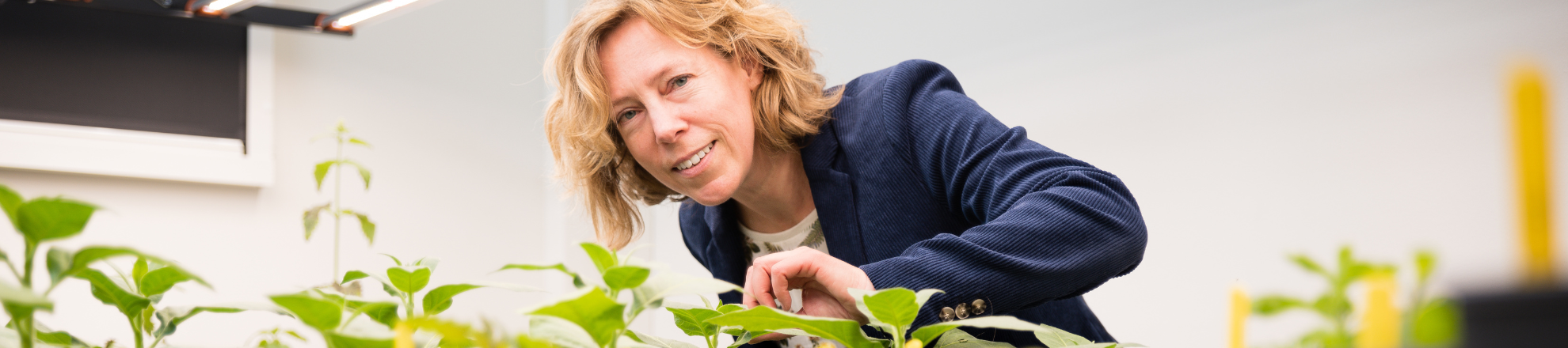 Mirka Macel professor at Aeres University of Applied Sciences Almere