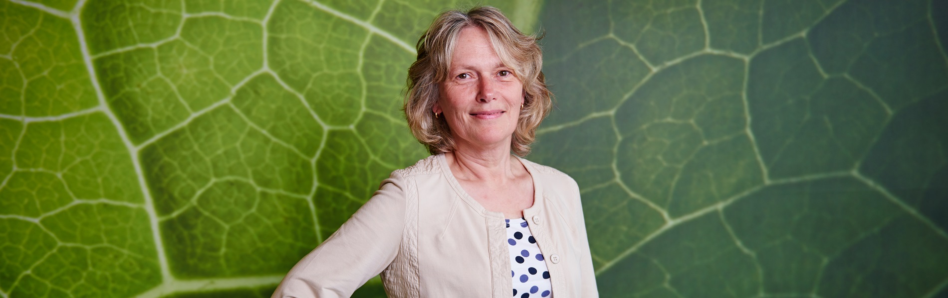 Hennie van Heijst | Aeres 