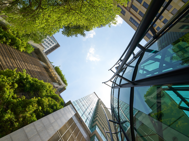 Healthy living in green cities