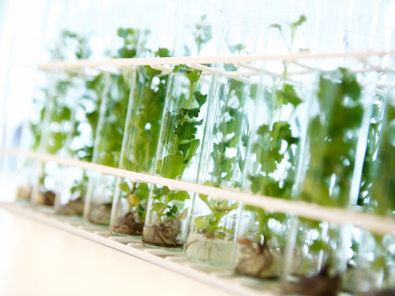 Master programme at aeres university of applied sciences