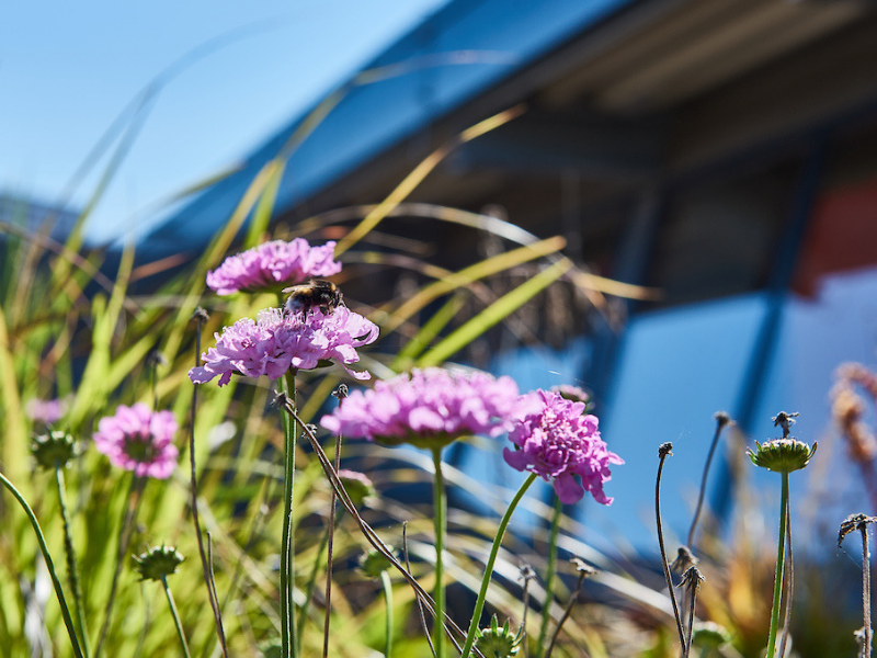 Mission and values Aeres University of Applied Sciences