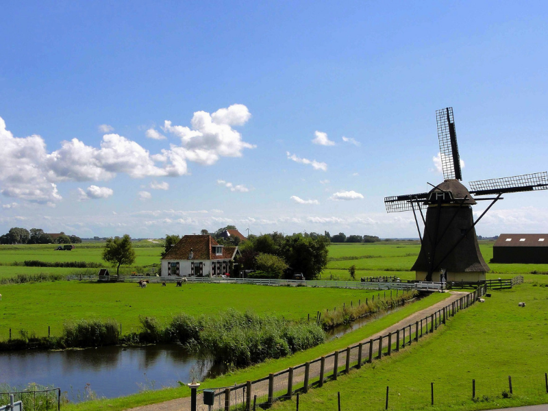 Why study in the Neterlands