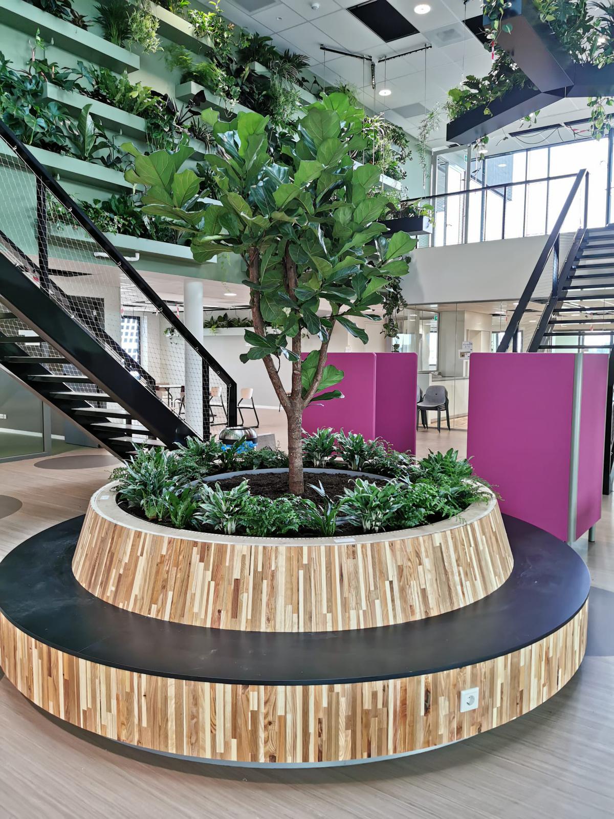 binnen rond zitje boom