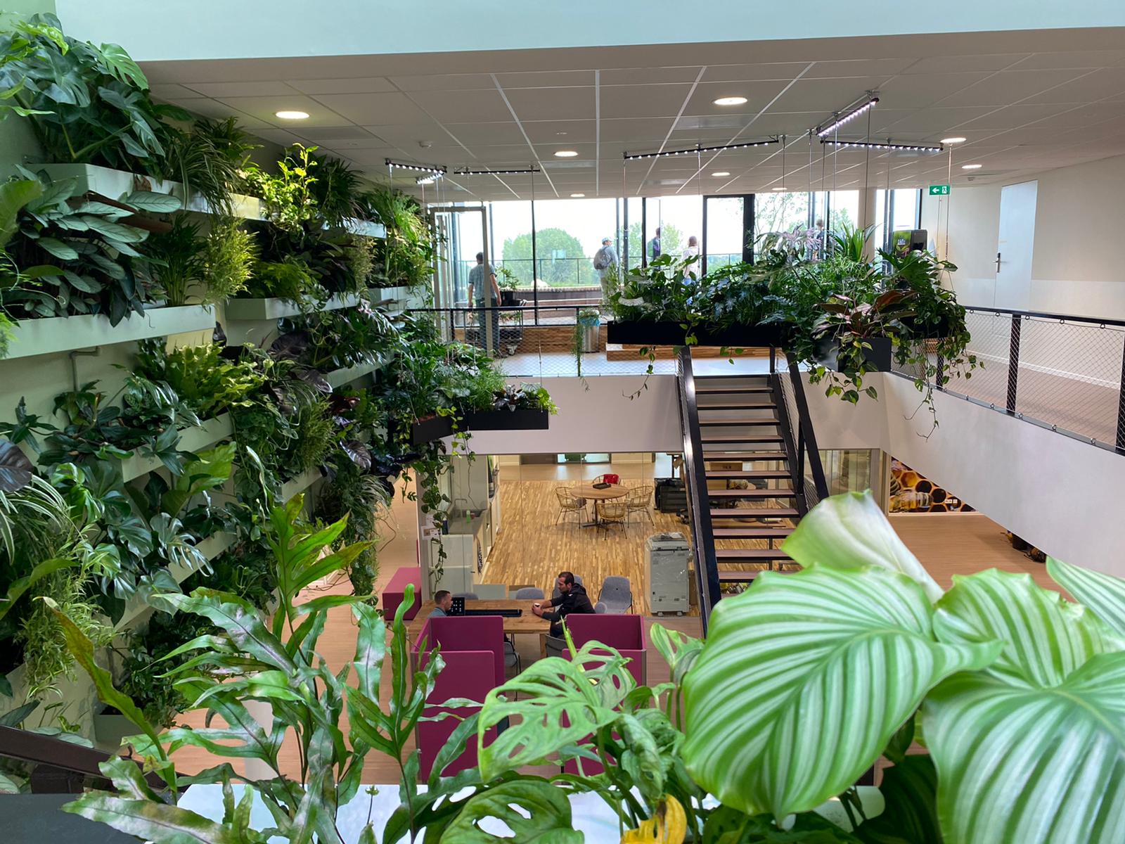 binnen overzicht groene wand