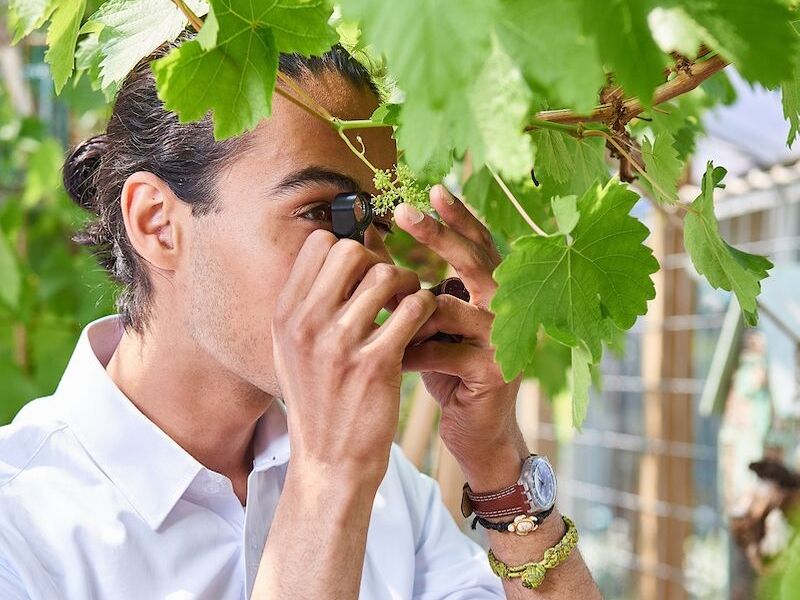 Student onderzoek plant natuur Aeres Hogeschool Almere