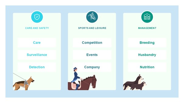Human-Animal Interactions